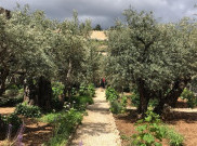 7 Tempat Paling Instagrammable di Palestina