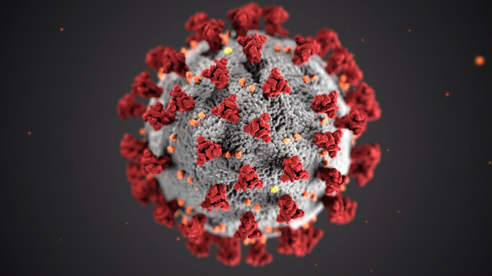 hepatitis