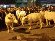 Keraton Surakarta Kirab Sembilan Pusaka Keramat, Gibran Ikuti Prosesi Jalan Kaki Nyeker