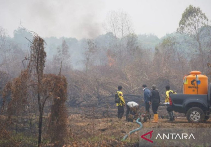 Warga Gugat Perusahaan Atas Kasus Kabut Asap di Sumatera Selatan.
