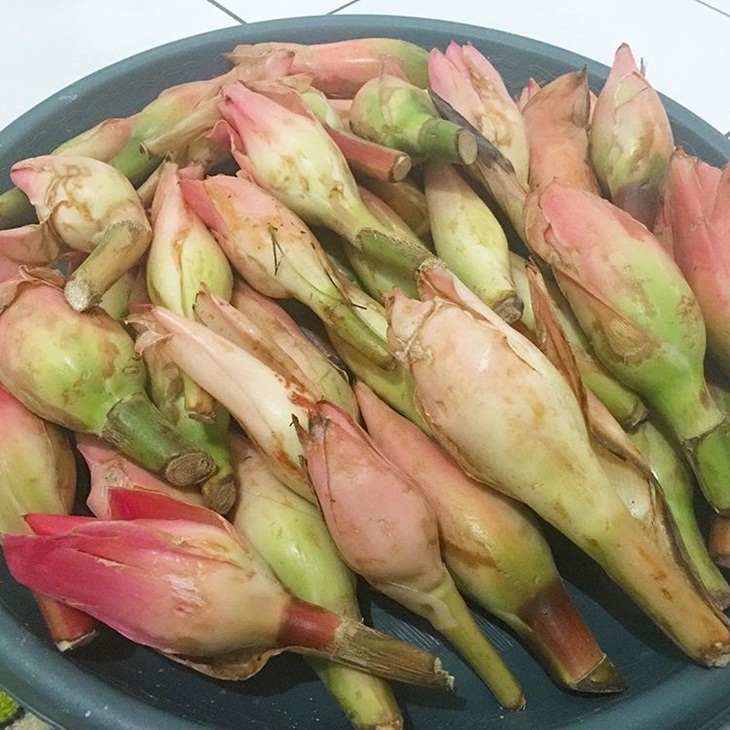 Kecombrang. (Foto: instagram.com/ayeshakitchens)