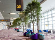 Terminal Baru Bandara Changi, Sangat Modern