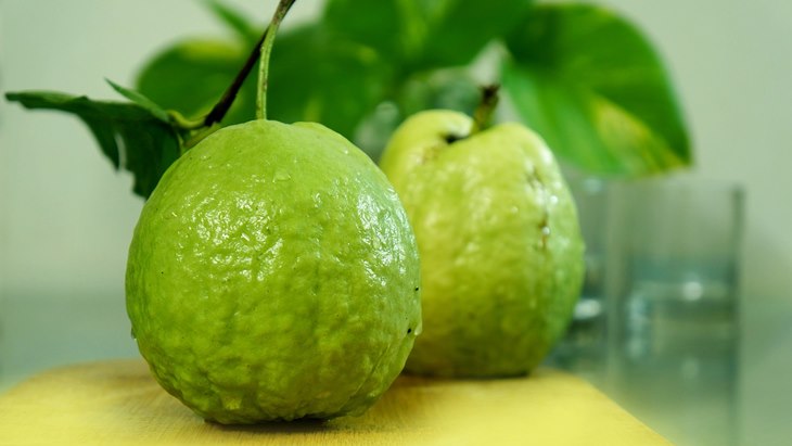 Perkuat Sistem Imun Tubuh di Musim Hujan dengan Jambu Biji