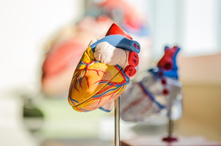 Solusi PERKI dalam Menghadapi Tantangan Kesehatan di Bidang Kardiovaskular