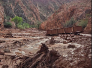  Banjir Bandang Menyapu Grand Canyon, 1 Tewas dan 15 Orang Hilang