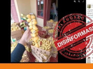 [HOAKS Atau FAKTA]: Kurma Muda Ampuh Bantu Proses Kehamilan