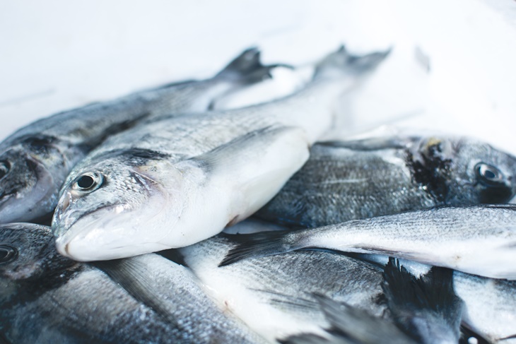ikan