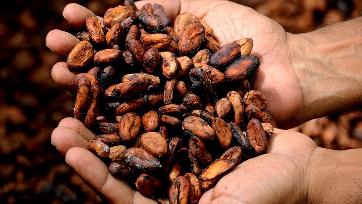 Optimisme Pebisnis Cokelat di Indonesia