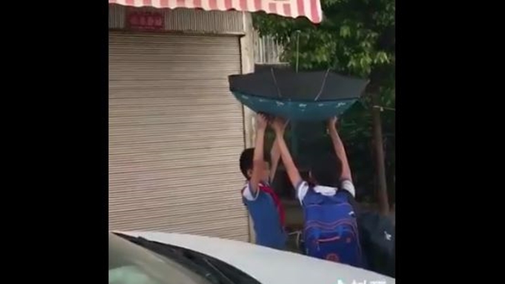 Dua Bocah Selamatkan Kucing, Dijamin Kalian Enggak Kepikiran Caranya