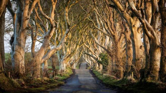 Kangen Game of Thrones? Penggemar Bisa Bernostalgia di 5 Lokasi Ini