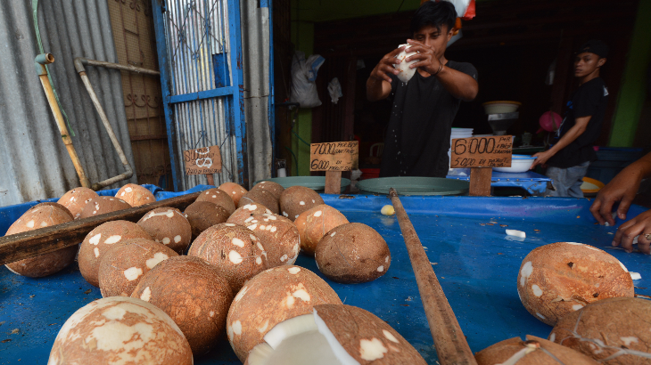 Ekspor Tepung Kelapa Sulut ke Korea Capai 25 Ton