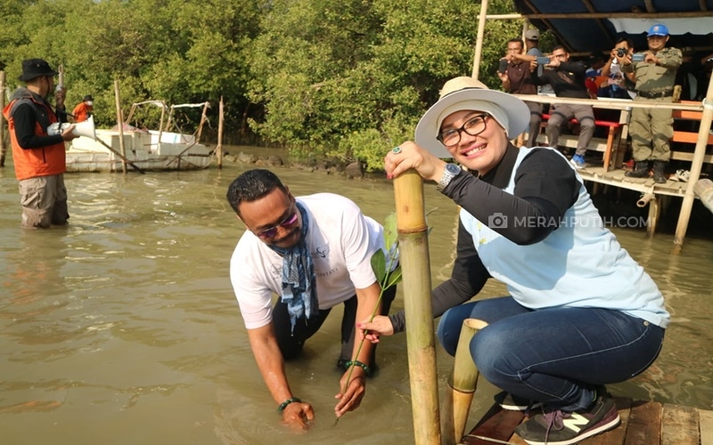  Ekowisata Mangrove Segera Dibangun di Pantai Kota Cirebon