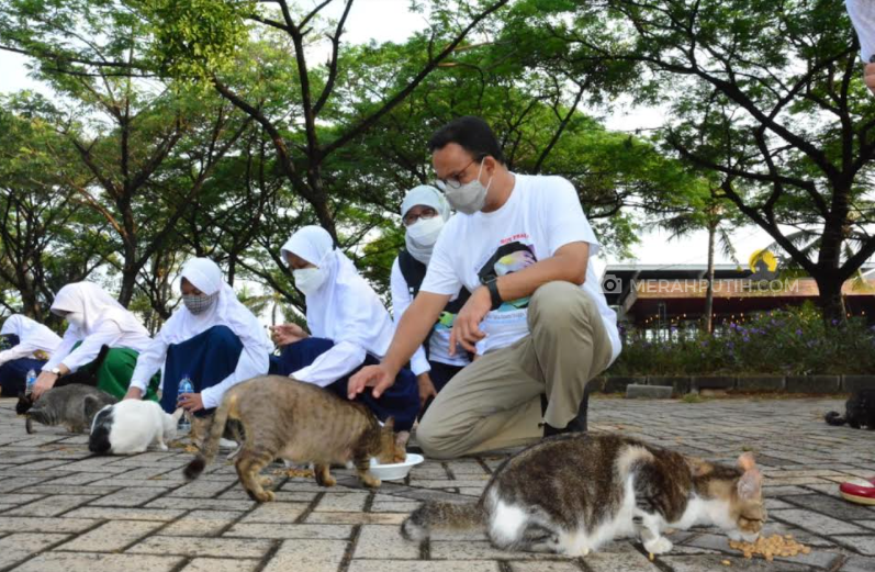 Tak Hadir Interpelasi Formula E, Anies Lebih Milih Datang Kegiatan Rabies di Ancol