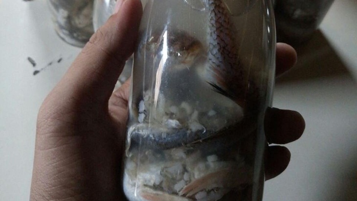 Bekasam, Fermentasi Ikan Istimewa dari Sumatera Selatan