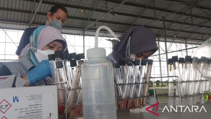 BPOM Serang Temukan Makanan Buka Puasa Mengandung Bahan Berbahaya
