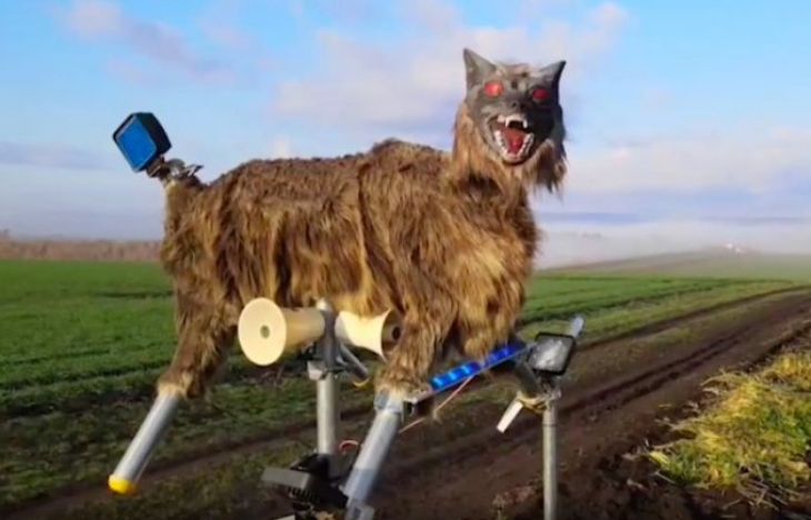 Monster Wolf dibuat semirip mungkin dengan serigala dan dilengkapi dengan sensor gerak. (Foto: Twitter/@alharding)