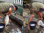 7 Fakta yang harus Kamu Tahu di Balik Video Viral Pria Memandikan dan Menyikat Gigi Buaya