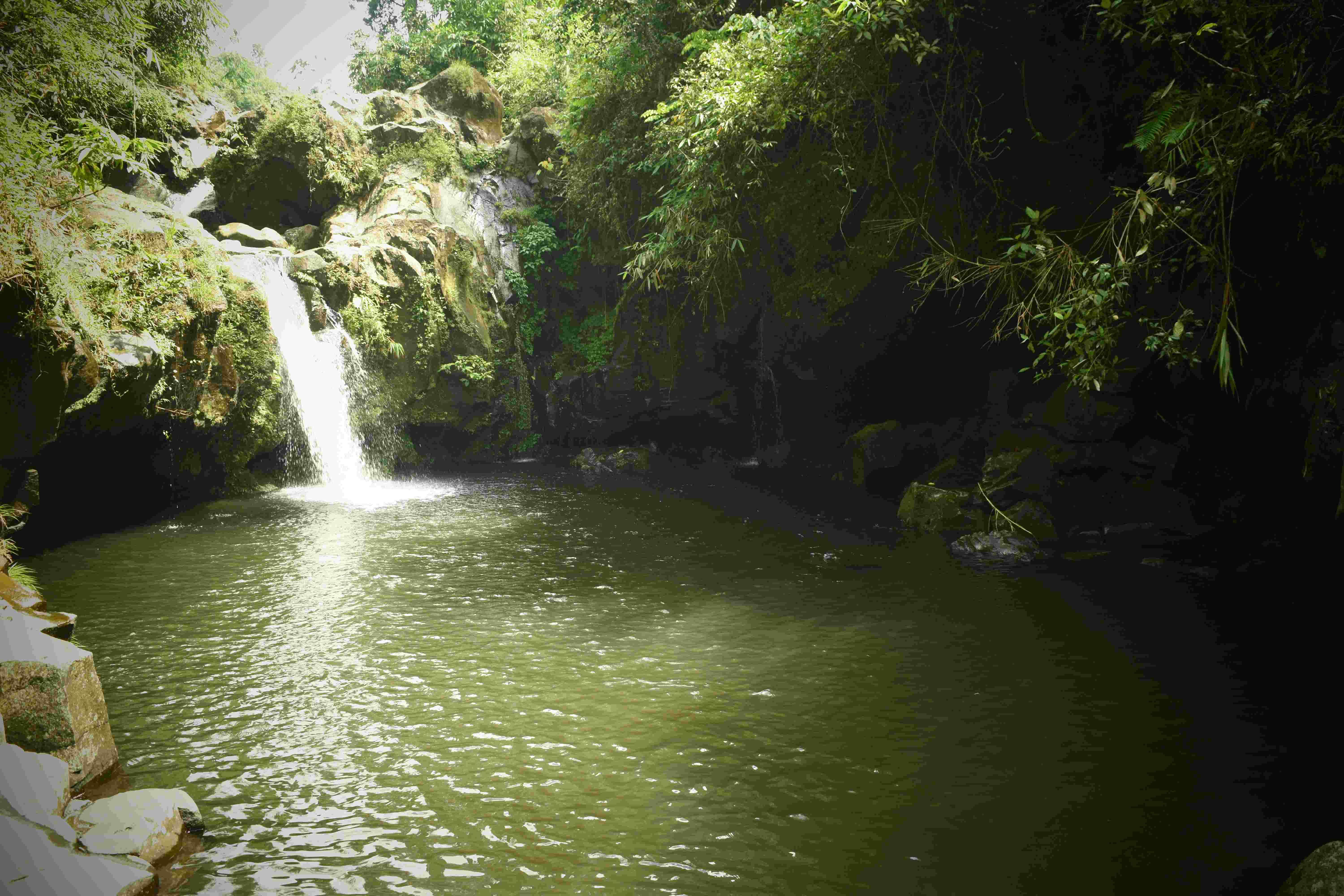 Rekomendasi Tempat Wisata Purwokerto Terbaik 2025