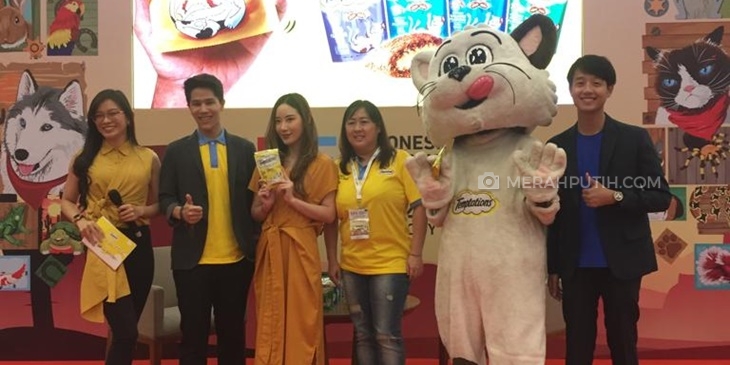 Kucing Kesayanganmu enggak akan Menolak 'Treat' Ini