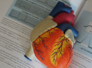 Remaja Berisiko Mengalami Hipertensi