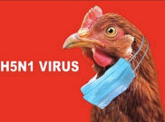 DPR Minta Semua Pihak Waspadai Kasus Flu Burung