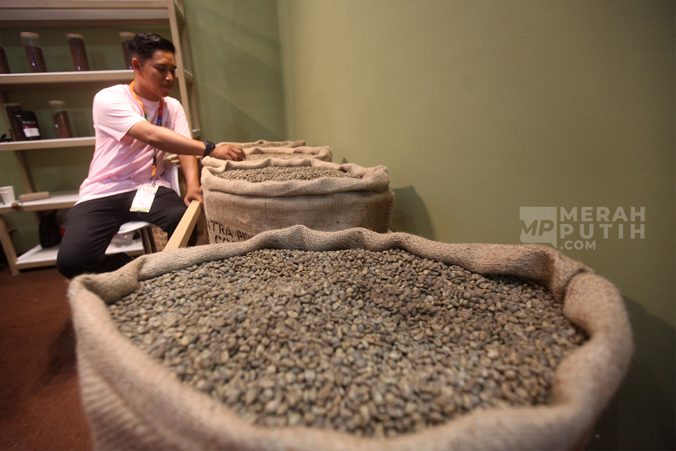 Indonesia Catatkan Surplus Ekspor Kopi, Lampung Jadi Daerah Terbesar Kirim ke Luar Negeri