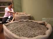 Indonesia Catatkan Surplus Ekspor Kopi, Lampung Jadi Daerah Terbesar Kirim ke Luar Negeri