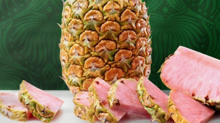 Nutrisi Bermanfaat dalam Nanas Merah Muda