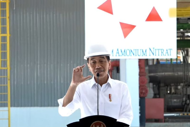 Jokowi Wanti-Wanti Jangan Sampai Panen Raya Padi Tahun Ini Gagal