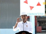 Jokowi Wanti-Wanti Jangan Sampai Panen Raya Padi Tahun Ini Gagal