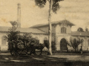 Keuntungan Candu Biayai Laju Pemerintah di Ibukota Baru (3)