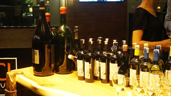 Puente Austral, Wine Spesial Asal Cile Telah Hadir di Indonesia
