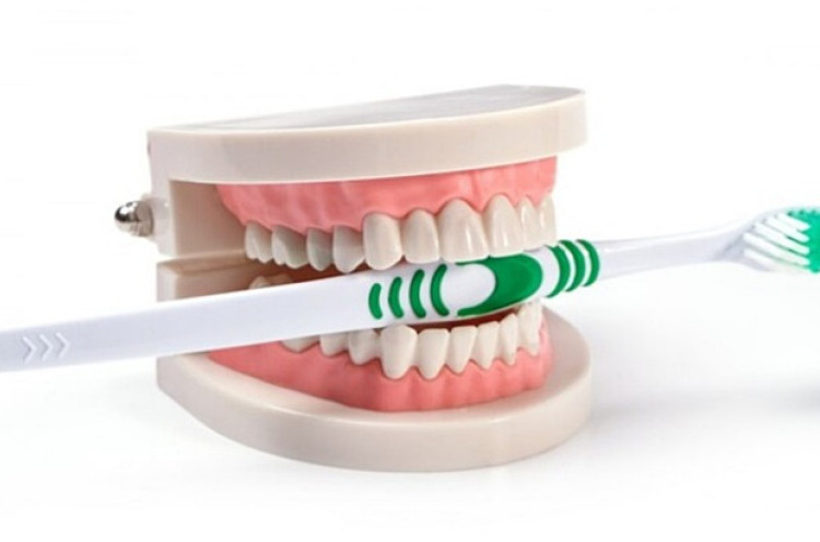 Bolehkah Langsung Menyikat Gigi Setelah Makan?