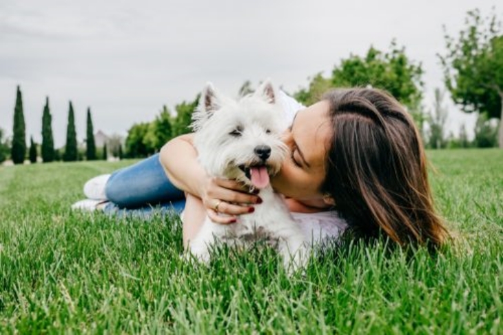 Anjing adalah hewan paling pemaaf di dunia. (Foto: Bestlife)