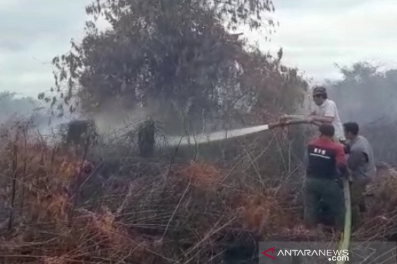 Petugas Kesatuan Pengelolaan Hutan (KPH) Wilayah IV Provinsi Aceh berupaya melakukan pemadaman api di lokasi kebakaran hutan dan lahan (Karhutla) di kawasan Desa Peunaga Cut Ujong, Kecamatan Meureubo, Kabupaten Aceh Barat, Jumat (12/6/2020). (ANTARA/HO)