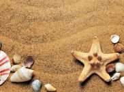 Tips Liburan Aman ke Pantai, Salah Satunya Kenali Spot Berbahaya