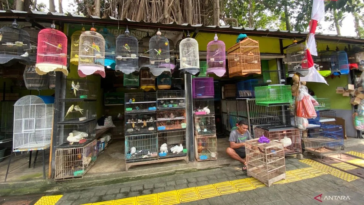 Imbas Pembangunan Taman ASEAN, Pasar Hewan Jalan Barito di Relokasi ke Lenteng Agung