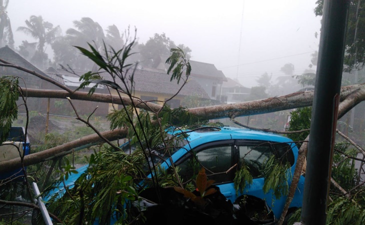 Hujan angin yang melanda wilayah Yogyakarta menyebabkan pohon bertumbangan