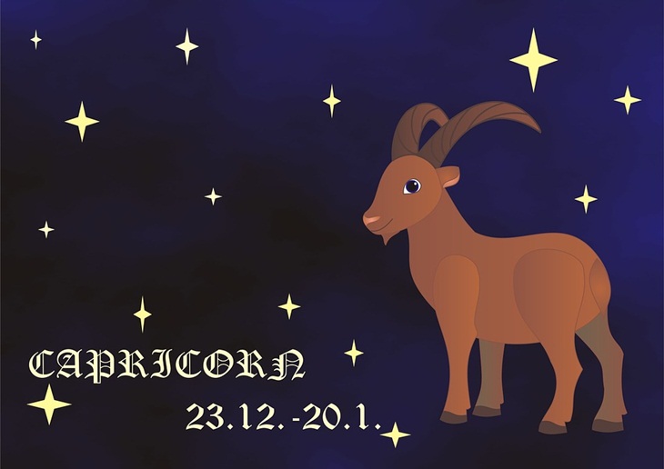 Capicorn. (Foto: Pixabay/maggyona)