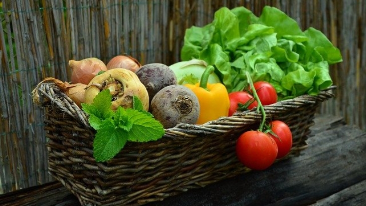 Belanja Sayur dan Buah Segar, Orang Surabaya Andalkan Aplikasi Ini