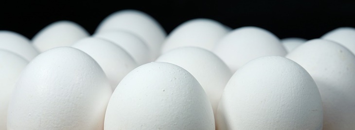 Jangan Sembarangan Jika Beli Telur, ini Panduannya