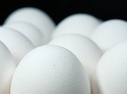 Jangan Sembarangan Jika Beli Telur, ini Panduannya