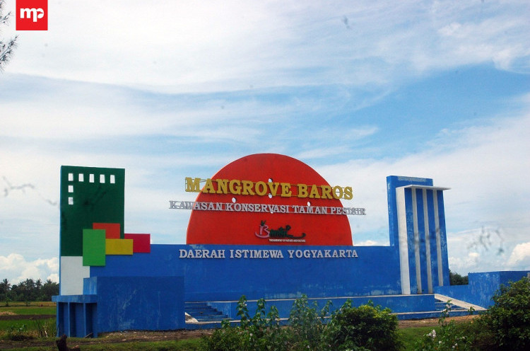 Hutan Mangrove Baros, Wisata Baru di Yogyakarta