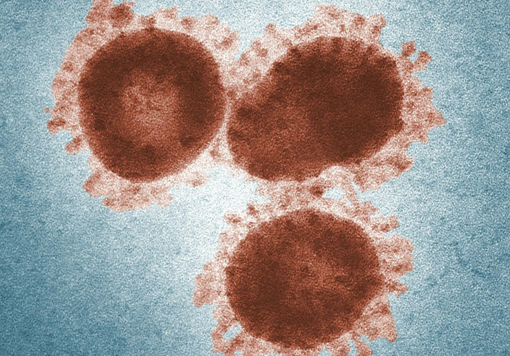 Varian Super Flu Mengintai Anak dan Lansia, Pemerintah Diminta Siapkan Puskesmas, Bukan Narasi