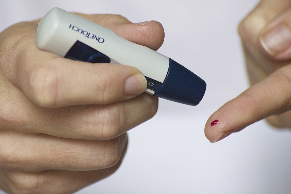 Daun talas mencegah diabetes (Sumber: Pixabay/TesaPhotography)
