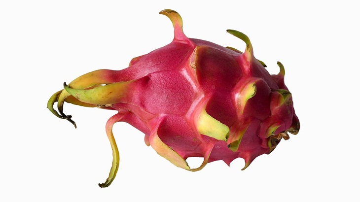 Buah naga bisa membantu berkurangnya risiko kanker. (Foto: Pixabay/HelgaKa)