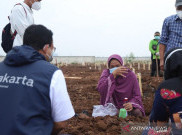 Anies: Sejauh Mata Memandang, Hanya Hamparan Liang Kubur