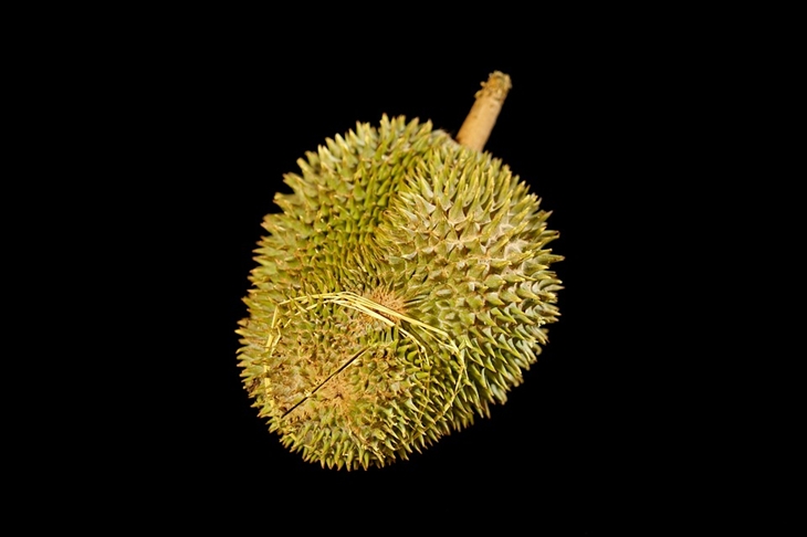 Buah durian. (Foto: Pixabay/SpencerWing)