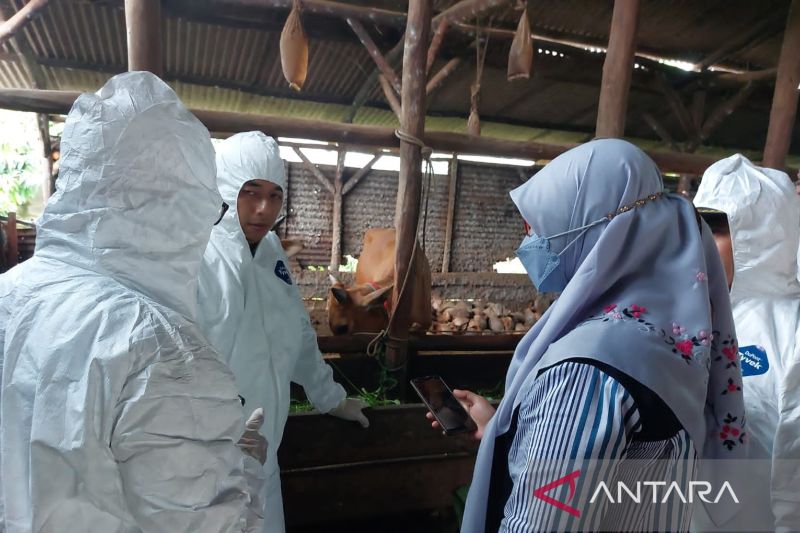Komisi IV DPR Pertanyakan Usulan Anggaran Rp 2 Triliun untuk Penanganan PMK