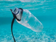 Robot Otonom Ini Siap Pungut Sampah Plastik di Dasar Laut